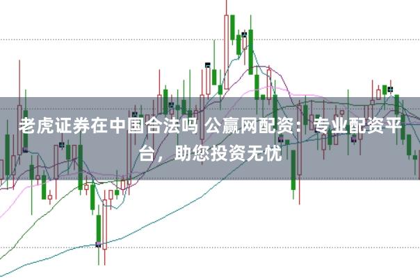 老虎证券在中国合法吗 公赢网配资：专业配资平台，助您投资无忧