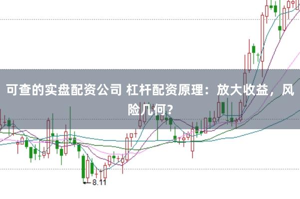 可查的实盘配资公司 杠杆配资原理：放大收益，风险几何？