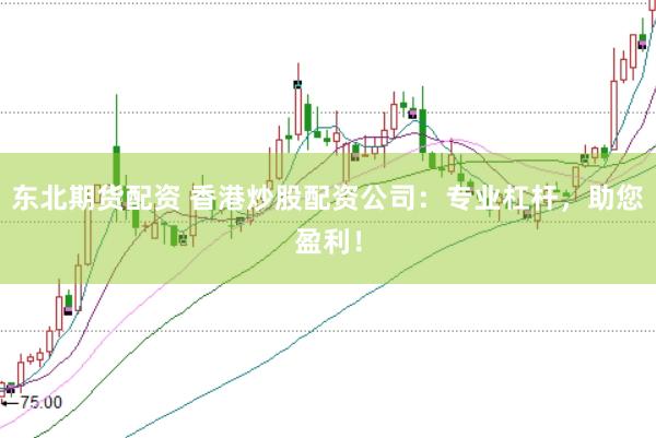 东北期货配资 香港炒股配资公司：专业杠杆，助您盈利！