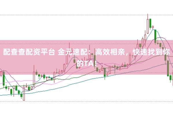 配查查配资平台 金元速配：高效相亲，快速找到你的TA！