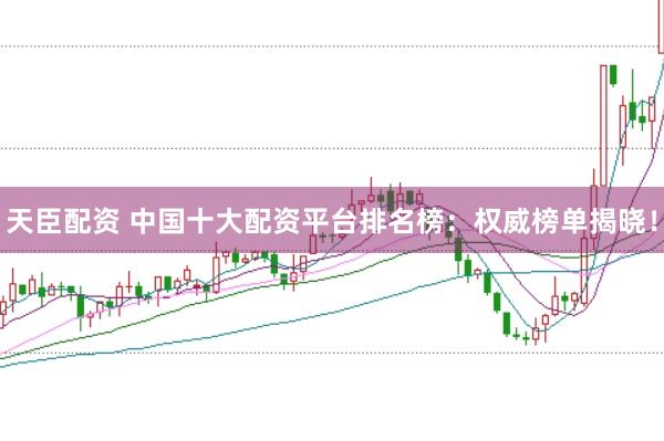 天臣配资 中国十大配资平台排名榜：权威榜单揭晓！