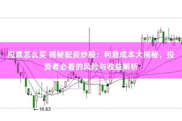 股票怎么买 揭秘配资炒股：利息成本大揭秘，投资者必看的风险与收益解析