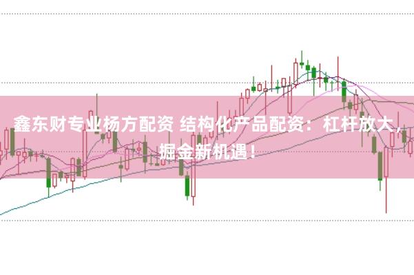 鑫东财专业杨方配资 结构化产品配资：杠杆放大，掘金新机遇！