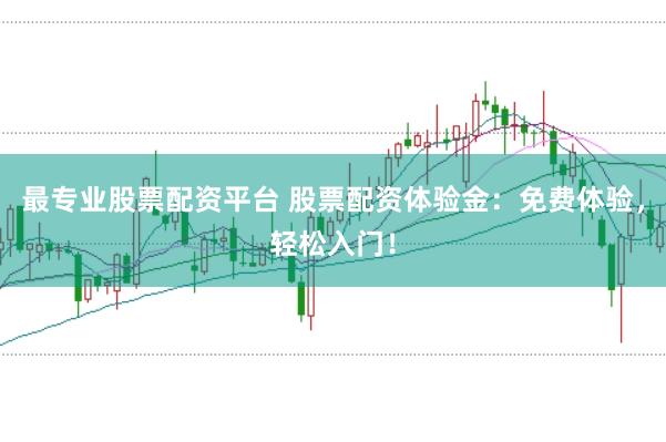 最专业股票配资平台 股票配资体验金：免费体验，轻松入门！