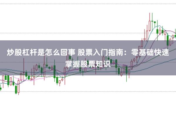 炒股杠杆是怎么回事 股票入门指南：零基础快速掌握股票知识