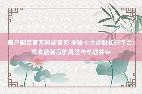 散户配资官方网站查询 揭秘十大炒股杠杆平台：高收益背后的风险与机遇并存