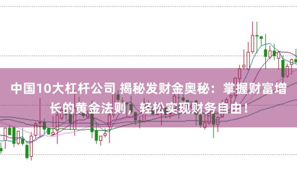 中国10大杠杆公司 揭秘发财金奥秘：掌握财富增长的黄金法则，轻松实现财务自由！