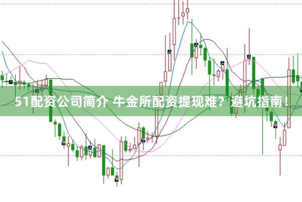 51配资公司简介 牛金所配资提现难？避坑指南！
