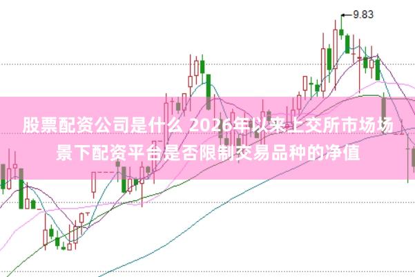股票配资公司是什么 2026年以来上交所市场场景下配资平台是否限制交易品种的净值