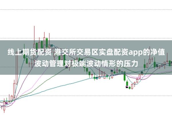 线上期货配资 港交所交易区实盘配资app的净值波动管理对极端波动情形的压力