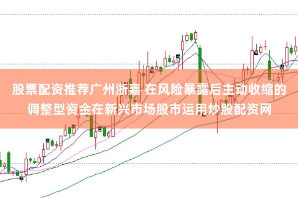 股票配资推荐广州浙嘉 在风险暴露后主动收缩的调整型资金在新兴市场股市运用炒股配资网
