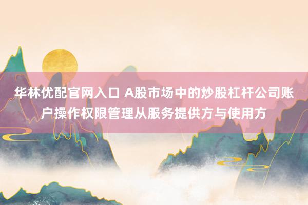 华林优配官网入口 A股市场中的炒股杠杆公司账户操作权限管理从服务提供方与使用方