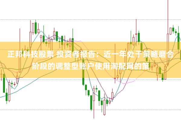 正邦科技股票 投资者报告：近一年处于策略磨合阶段的调整型账户使用淘配网的策