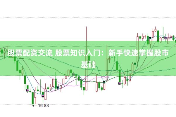 股票配资交流 股票知识入门:新手快速掌握股市基础
