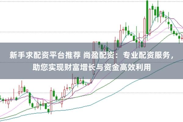 新手求配资平台推荐 尚盈配资:专业配资服务,助您实现财富增长与资金高效利用