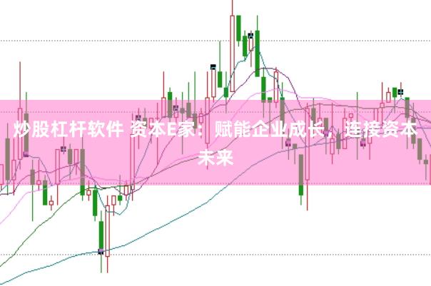 炒股杠杆软件 资本E家：赋能企业成长，连接资本未来