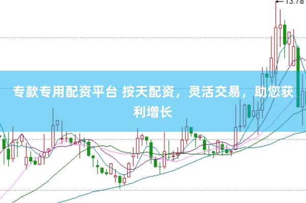 专款专用配资平台 按天配资，灵活交易，助您获利增长