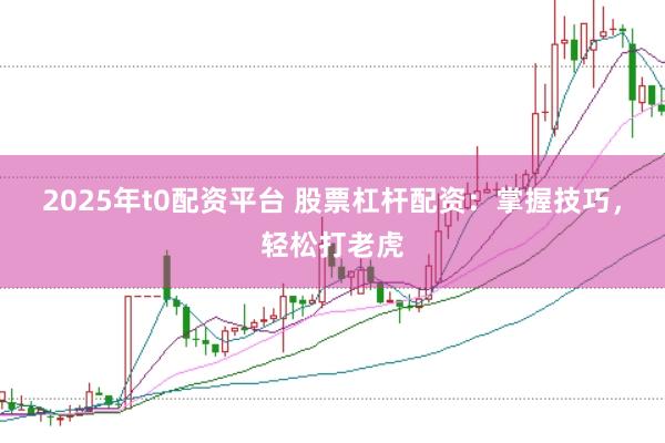 2025年t0配资平台 股票杠杆配资:掌握技巧,轻松打老虎