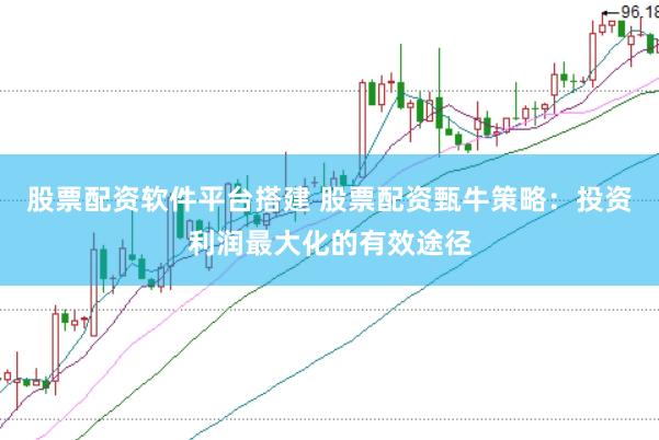 股票配资软件平台搭建 股票配资甄牛策略：投资利润最大化的有效途径