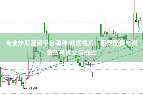 专业炒股配资平台哪种 数据视角：股票配资与资金效率机会与挑战